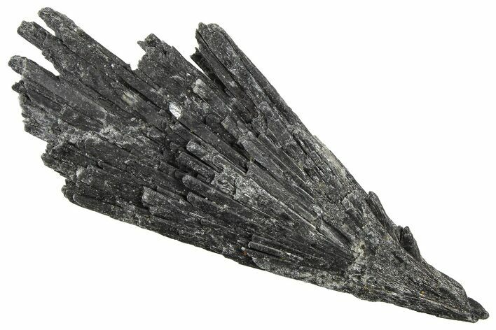 Intricate Black Kyanite Crystal Fan - Brazil #362706
